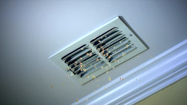 Affordable HVAC Duct Cleaning in WI