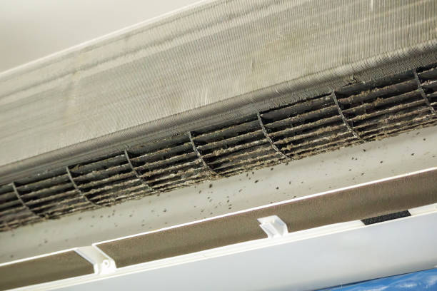 Best HVAC Air Duct Cleaning  in Vernon, WI